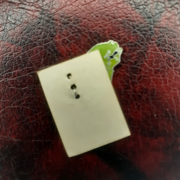 1960s/70's Souvenier Enamel Illinois Cloisonne Charm - Picture 5 of 15